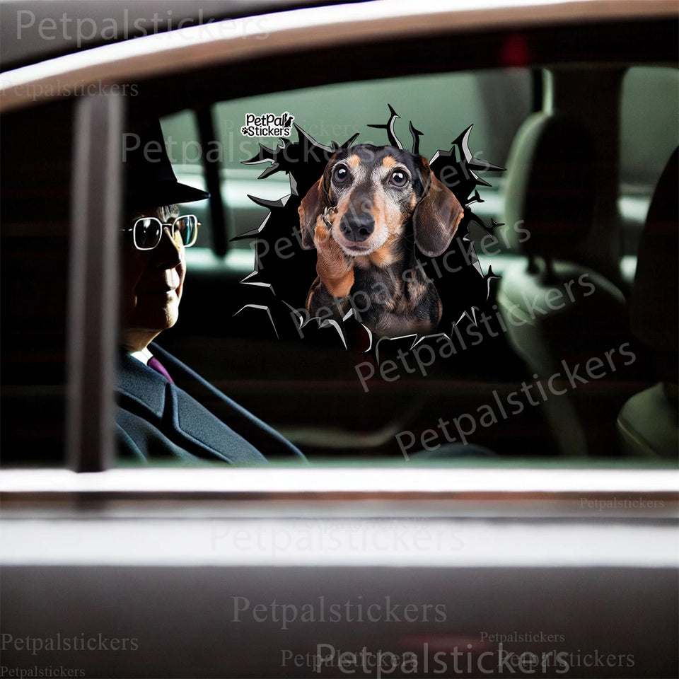 Cute Dachshund vinyl decal applied smoothly onto the side car door of a white sedan.
