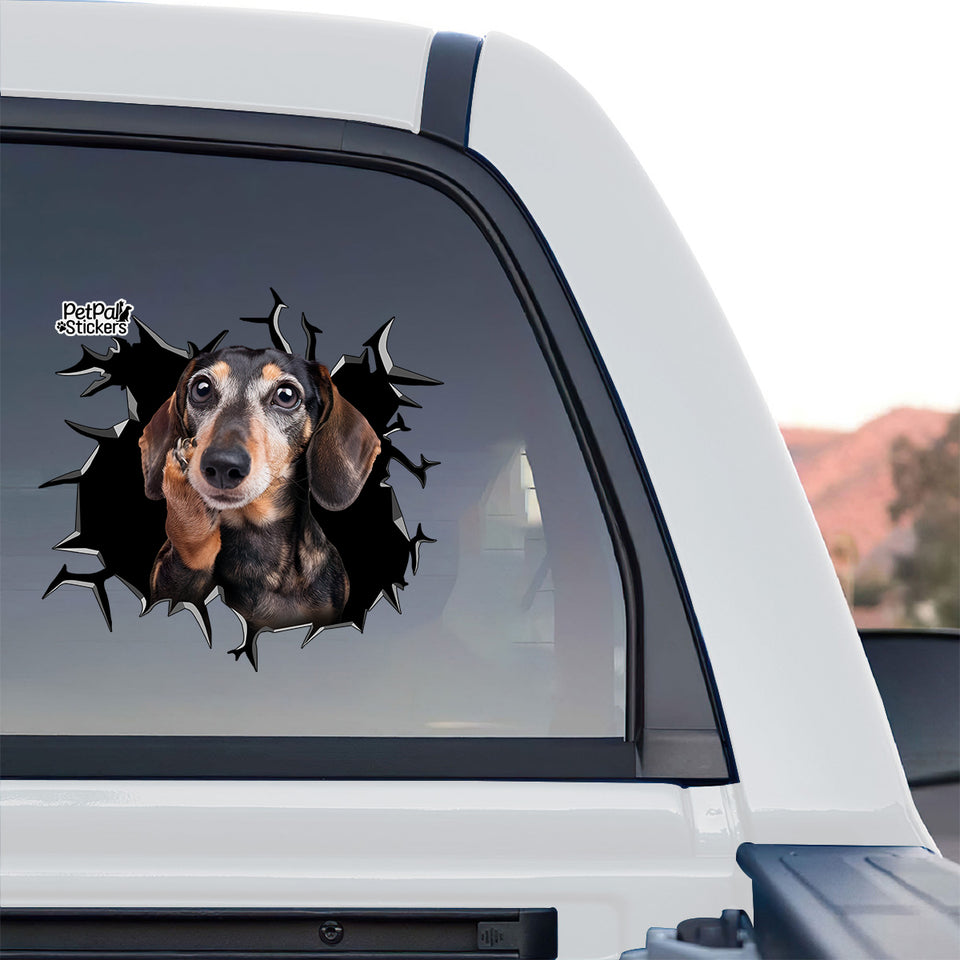 Vibrant Dachshund dog sticker displayed prominently on the rear glass of a truck.