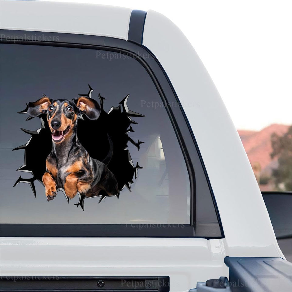 Detailed graphic decal artwork of a cute Dachshund in a realistic standalone product design view.