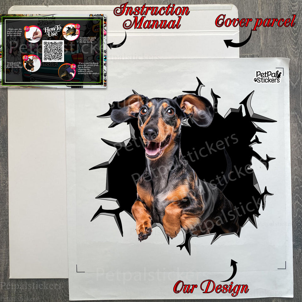 Gloss laminated Dachshund car sticker presented in secure clear retail package with guides.