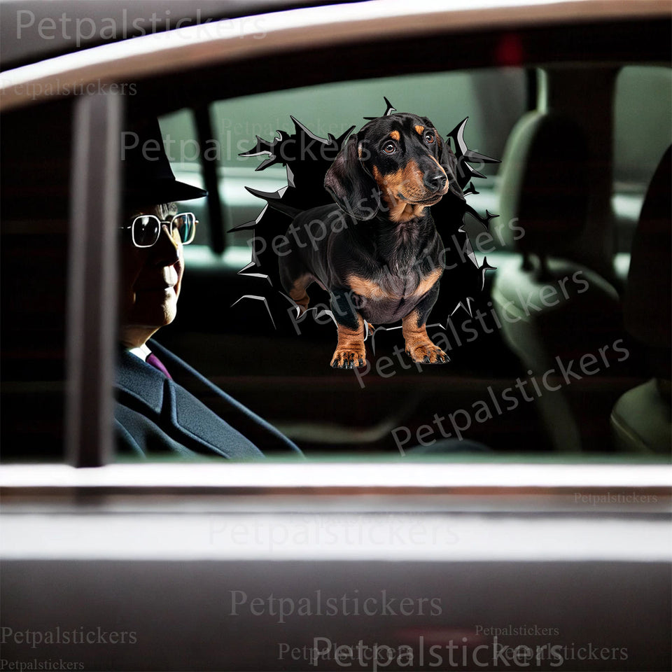 Glossy Dachshund graphic decal applied neatly on a white car door panel.