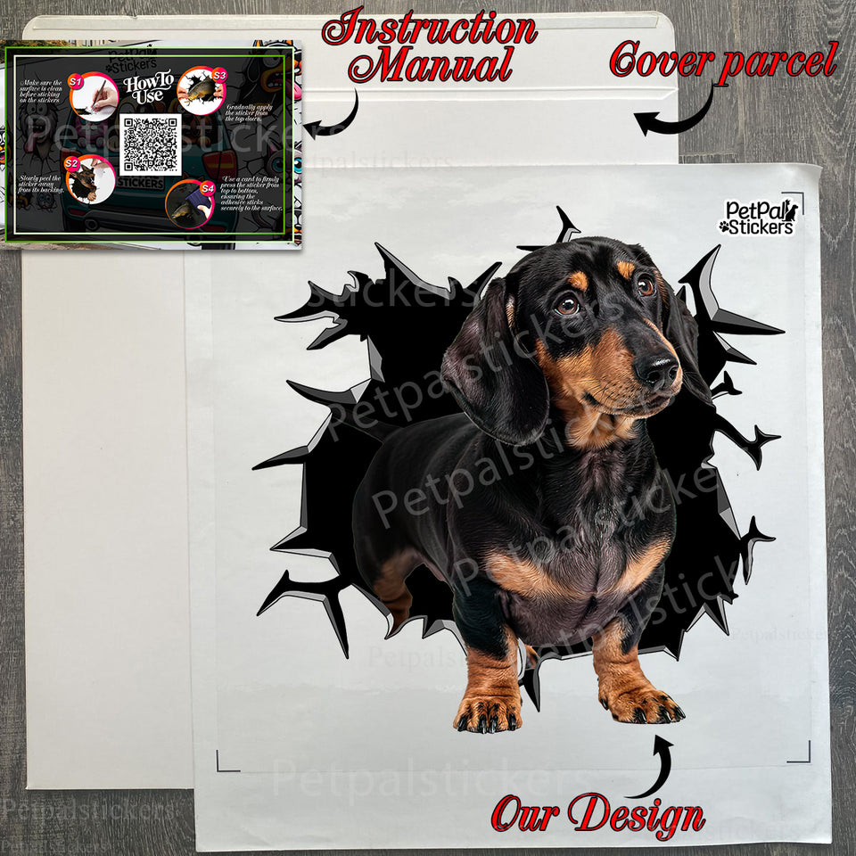 Unboxing the Dachshund decal package complete with easy application instructions.
