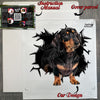 Unboxing the Dachshund decal package complete with easy application instructions.