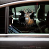 Glossy deer graphic sticker applied smoothly to a black car door exterior panel.