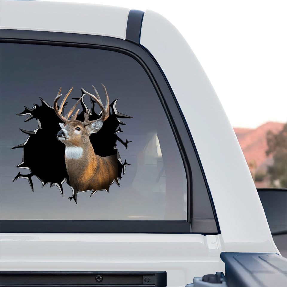 Bold deer hunting emblem displayed clearly on the rear window of a truck.