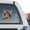 Majestic deer hunting decal displayed on the rear window of a truck.
