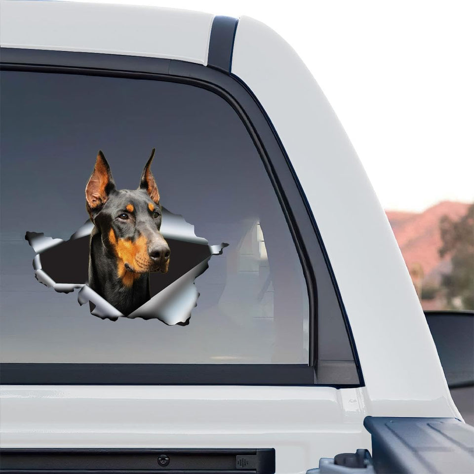 Clear vinyl Doberman graphic decal artwork shown in a crisp standalone product design.