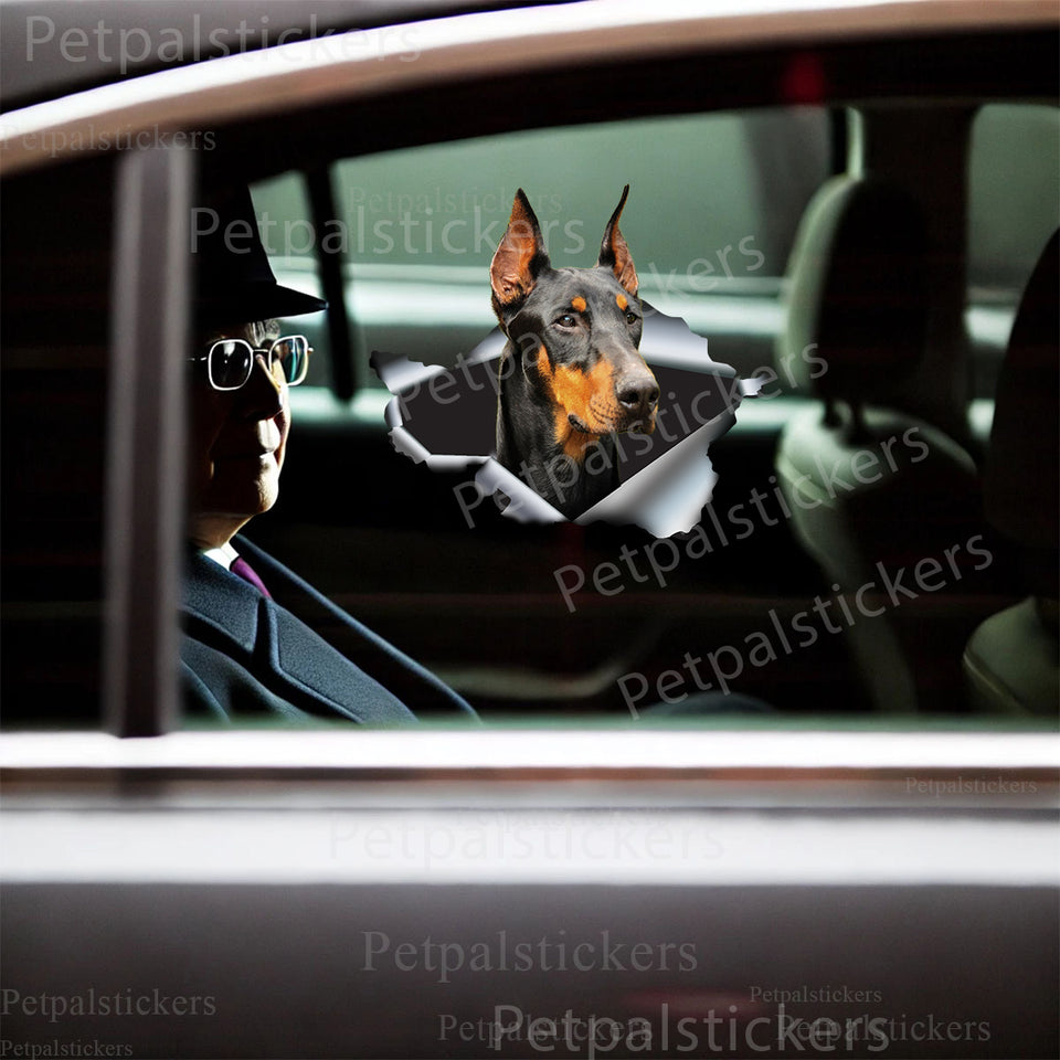 Detailed Doberman vinyl decal proudly displayed on a clean glossy car door panel.