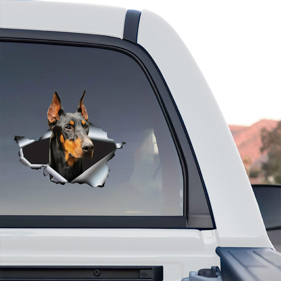 Vibrant Doberman dog decal perfectly applied on the exterior rear window of a truck.