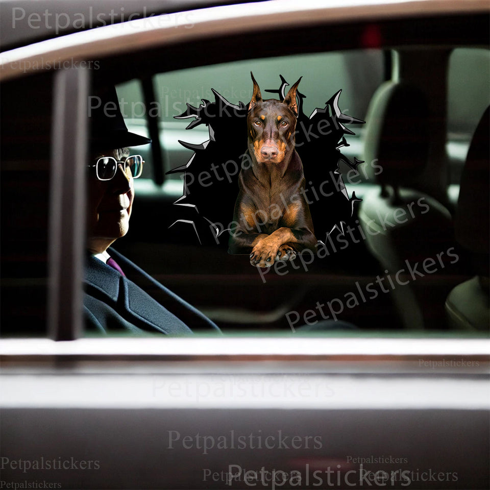 Vibrant Doberman dog decal proudly displayed on an automobile car door surface.