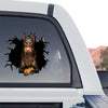 Protective gloss vinyl Doberman graphic sticker styled on the rear window of a truck.