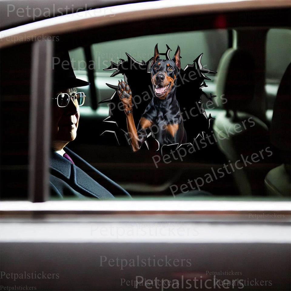 Doberman Pinscher graphic decal cleanly displayed on a smooth car door exterior.