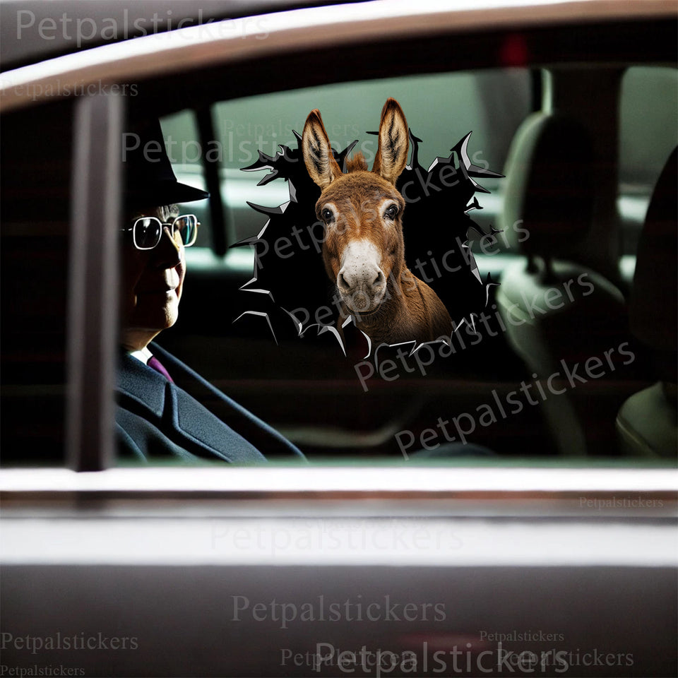 Cute Donkey decal applied smoothly onto the exterior car door surface of a clean vehicle.