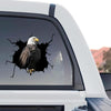 Detailed Eagle decal featuring bold graphic artwork in a standalone product design format.