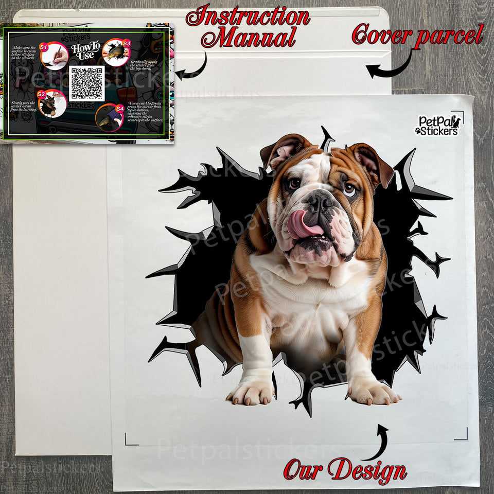 Protective product package containing the English Bulldog car decal with instructions.