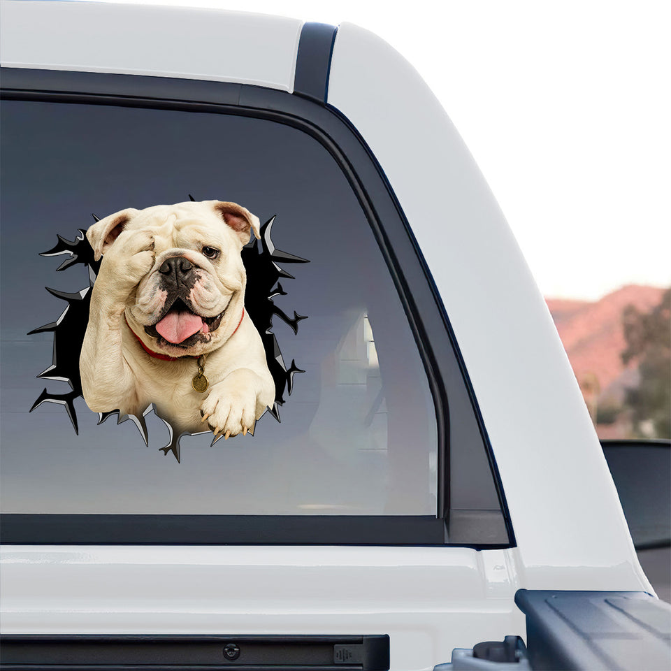 Weatherproof English Bulldog graphic sticker displayed on the rear window of a truck.