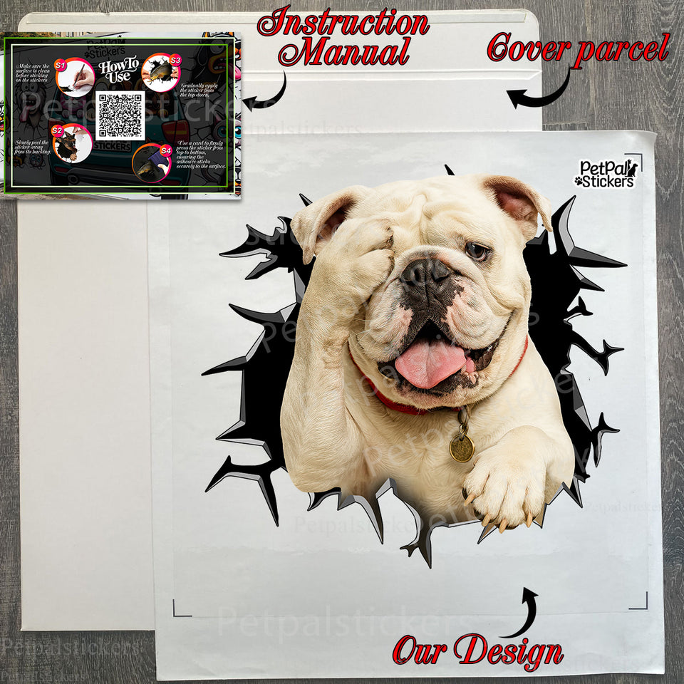 Protective retail package containing the English Bulldog decal with instructions.