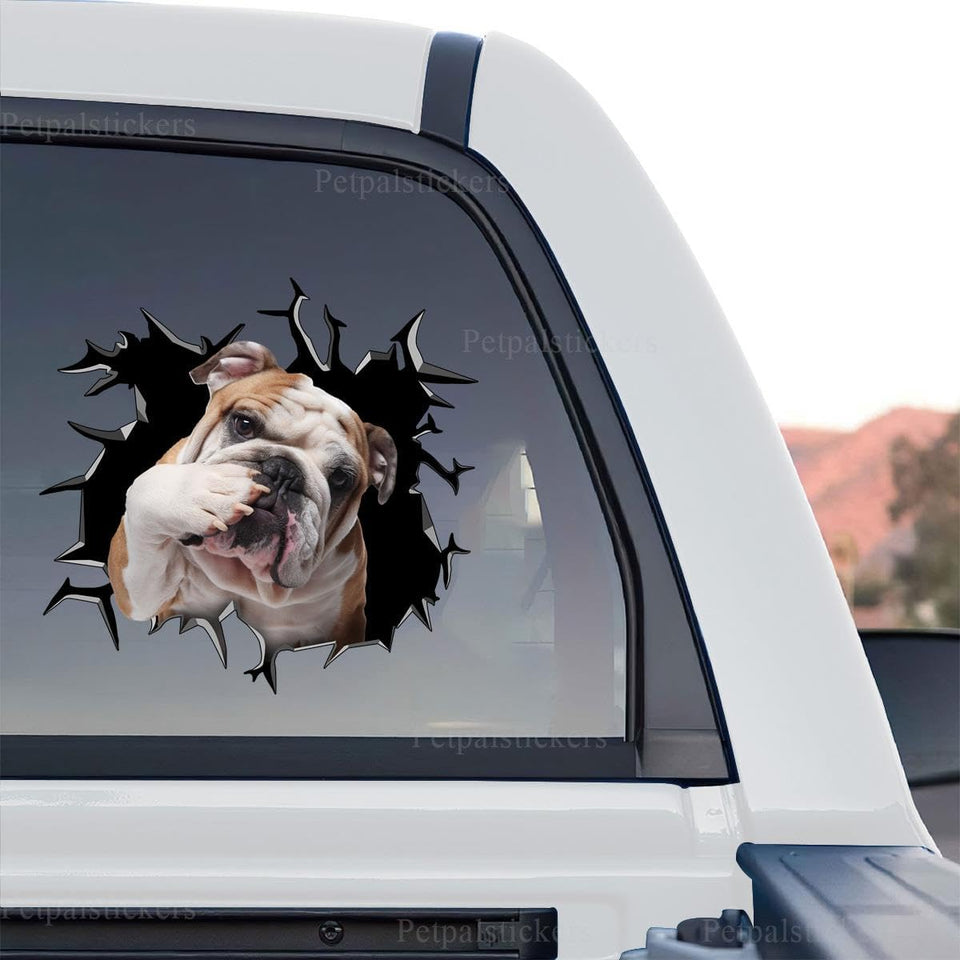 Clear vinyl standalone product design featuring a cute English Bulldog decal.