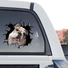 Clear vinyl standalone product design featuring a cute English Bulldog decal.