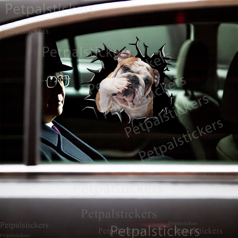 Cute English Bulldog decal stuck smoothly on a white car door exterior.