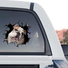 Vibrant English Bulldog sticker applied to the rear window of a truck.