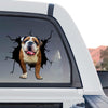 Vibrant graphic English Bulldog car decal shown in a standalone product design layout.