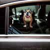 Cute English Bulldog vinyl sticker displayed smoothly on a white car door surface.