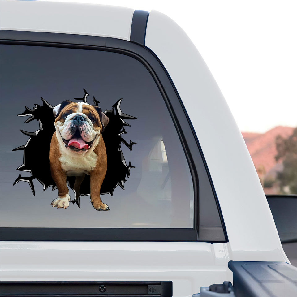 Detailed English Bulldog graphic decal styled on the back window of a truck.