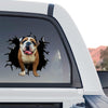 Detailed English Bulldog graphic decal styled on the back window of a truck.