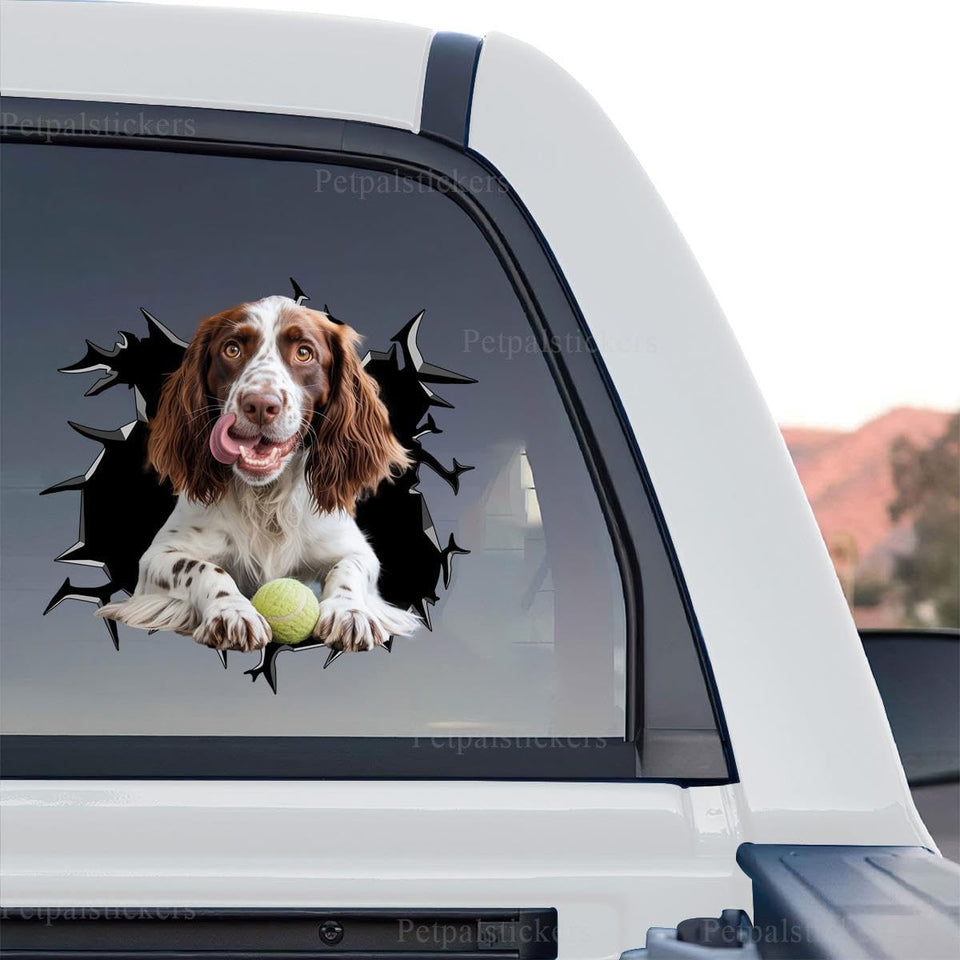Clear vinyl English Springer Spaniel standalone product design featuring vibrant outdoor inks.