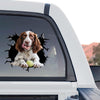 Clear vinyl English Springer Spaniel standalone product design featuring vibrant outdoor inks.