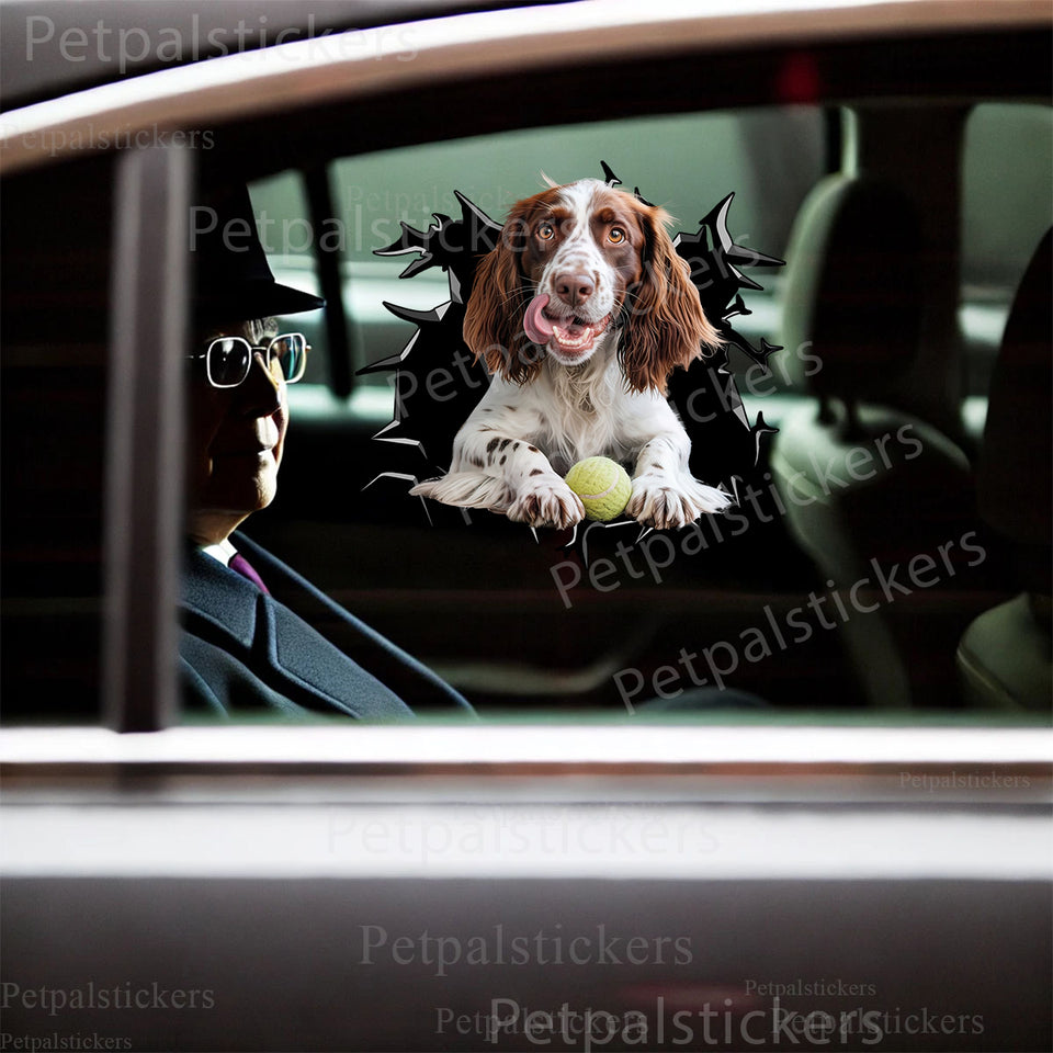 Playful English Springer Spaniel decal smoothly installed on the gloss finish of a white car door.