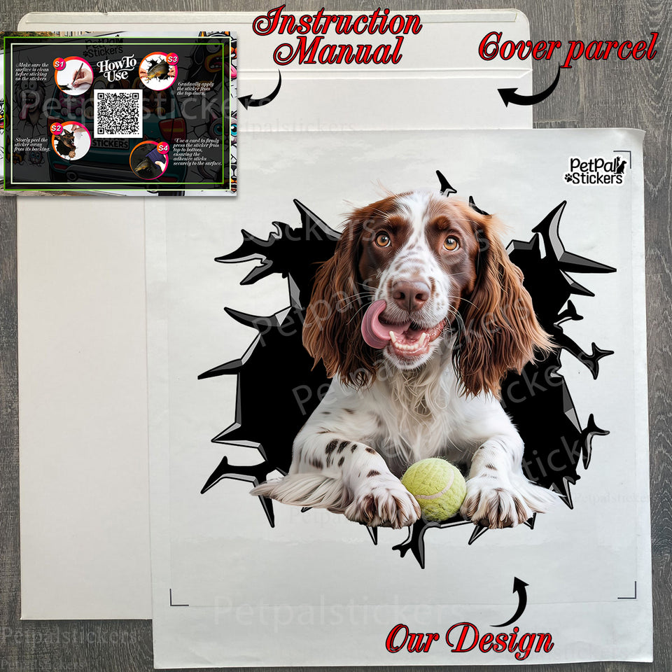 Protective retail package containing the dog window decal with complete application instructions.