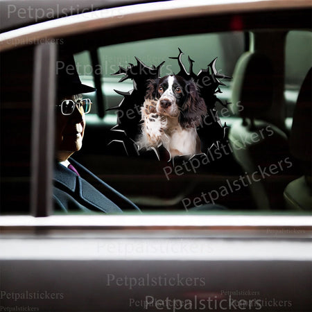 Funny English Springer Spaniel dog face decal placed playfully on a clean porcelain toilet tank.