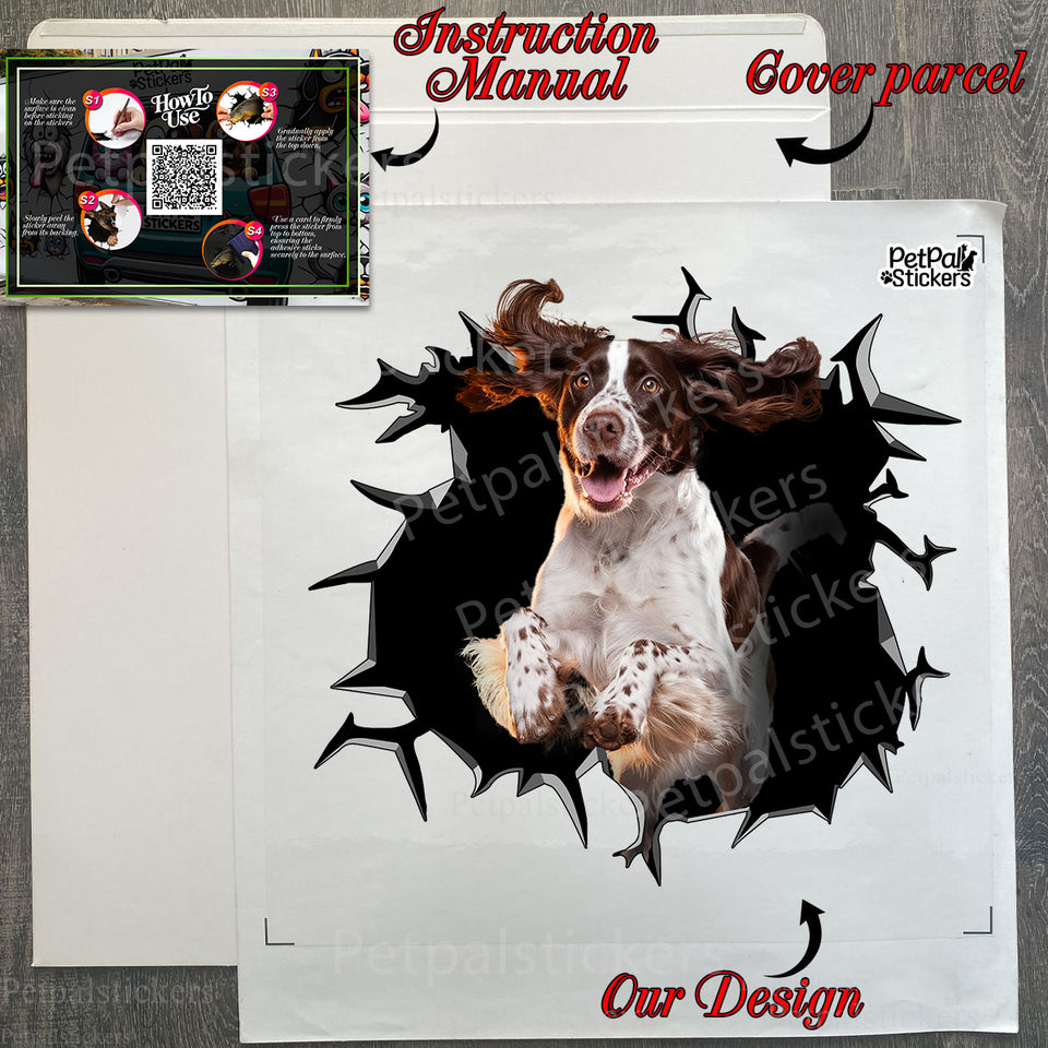 Clear vinyl dog graphic decal presented inside its secure retail package.