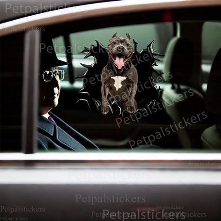 Humorous For Pitbulls graphic decal attached neatly to the lid of a home toilet.