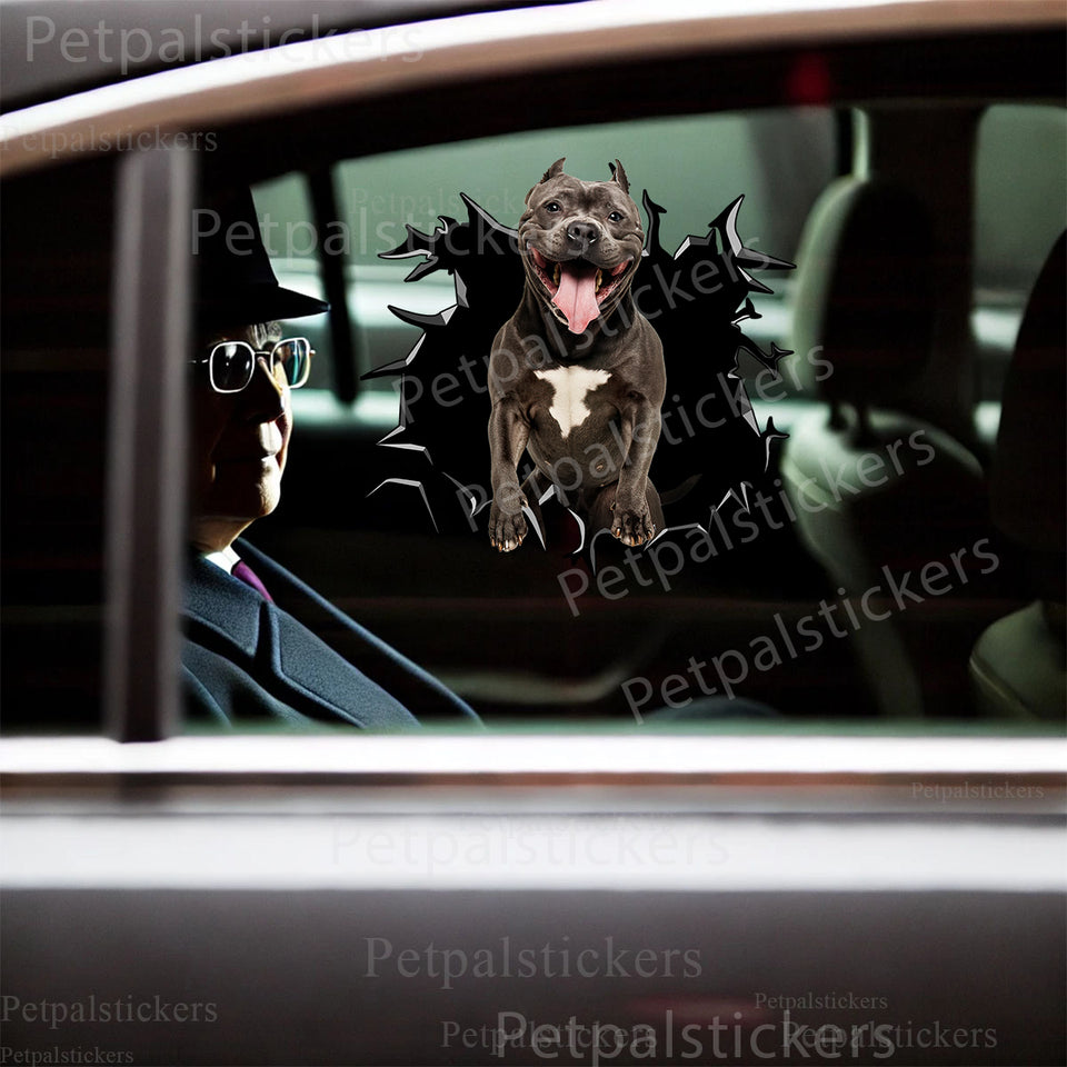 Outdoor gloss graphic of For Pitbulls applied seamlessly to a clean car door surface.