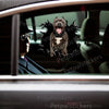 Outdoor gloss graphic of For Pitbulls applied seamlessly to a clean car door surface.