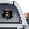 High-grade For Pitbulls window decal displayed on the back glass of a truck.