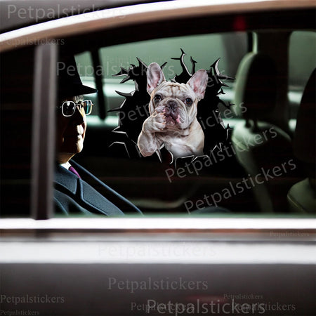 Humorous French Bulldog vinyl graphic sticker placed onto a clean ceramic toilet tank.