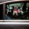 Glossy French Bulldog decal beautifully applied on a white car door exterior in bright sunlight.