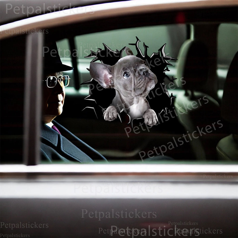 Glossy French Bulldog vinyl sticker cleanly adhered to the smooth exterior car door surface.