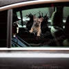 French Bulldog vinyl decal applied cleanly to the exterior of a white car door.