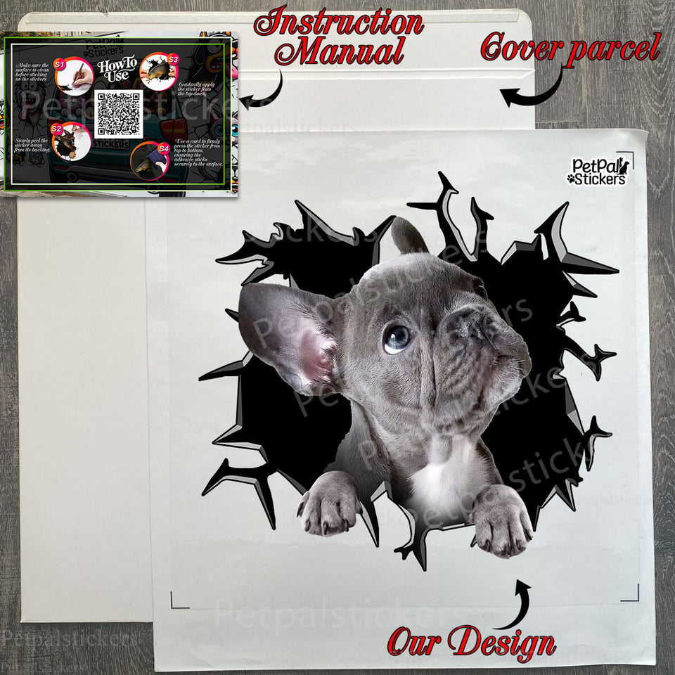 Protective decal package ready for unboxing, complete with easy application instructions.