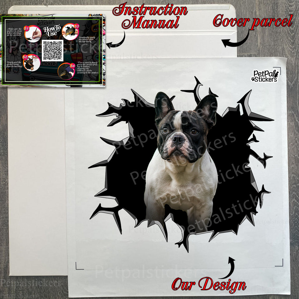 Unboxed Frenchie graphic decal ready for application alongside its secure package.