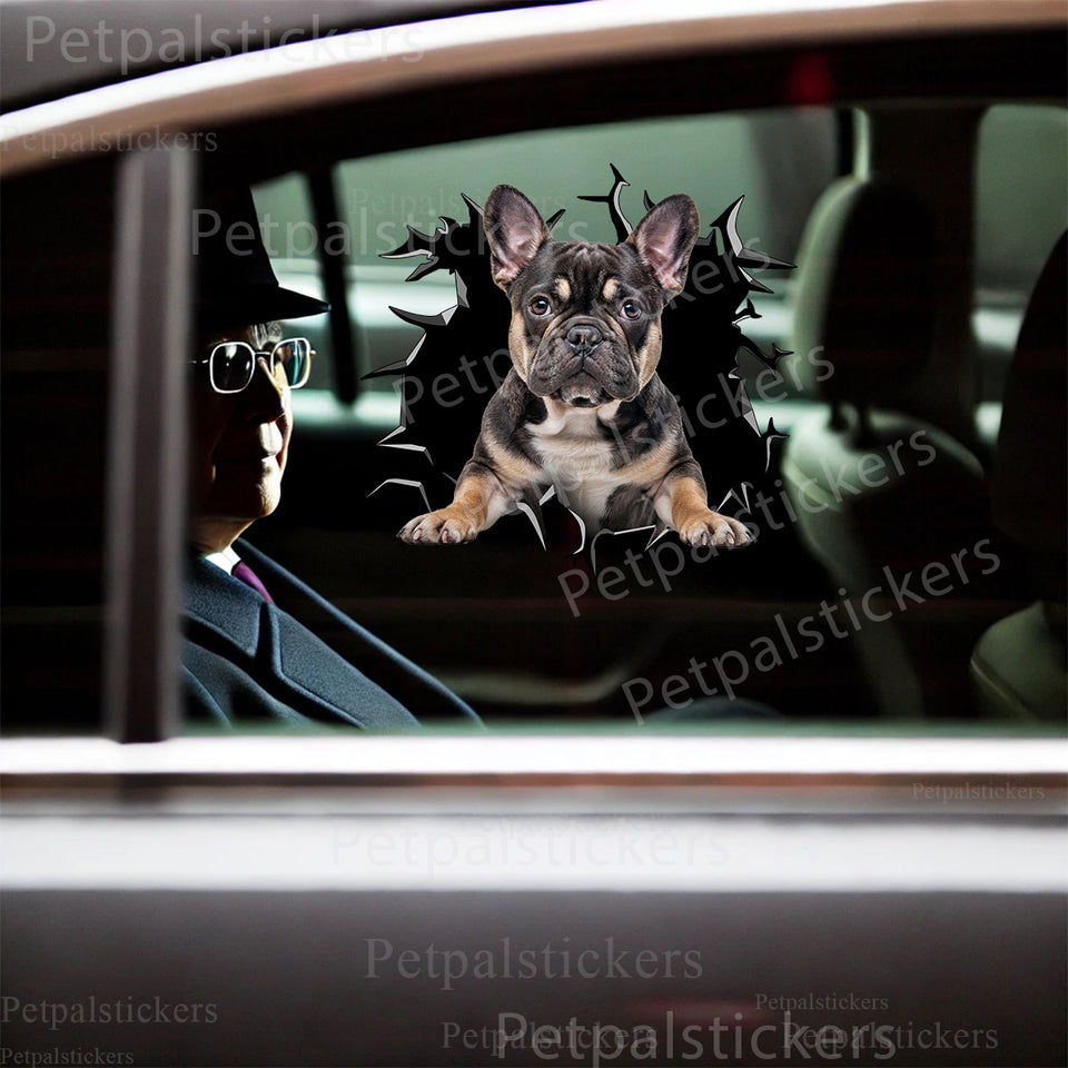 Cute Frenchie window decal displayed prominently on a white car door surface.
