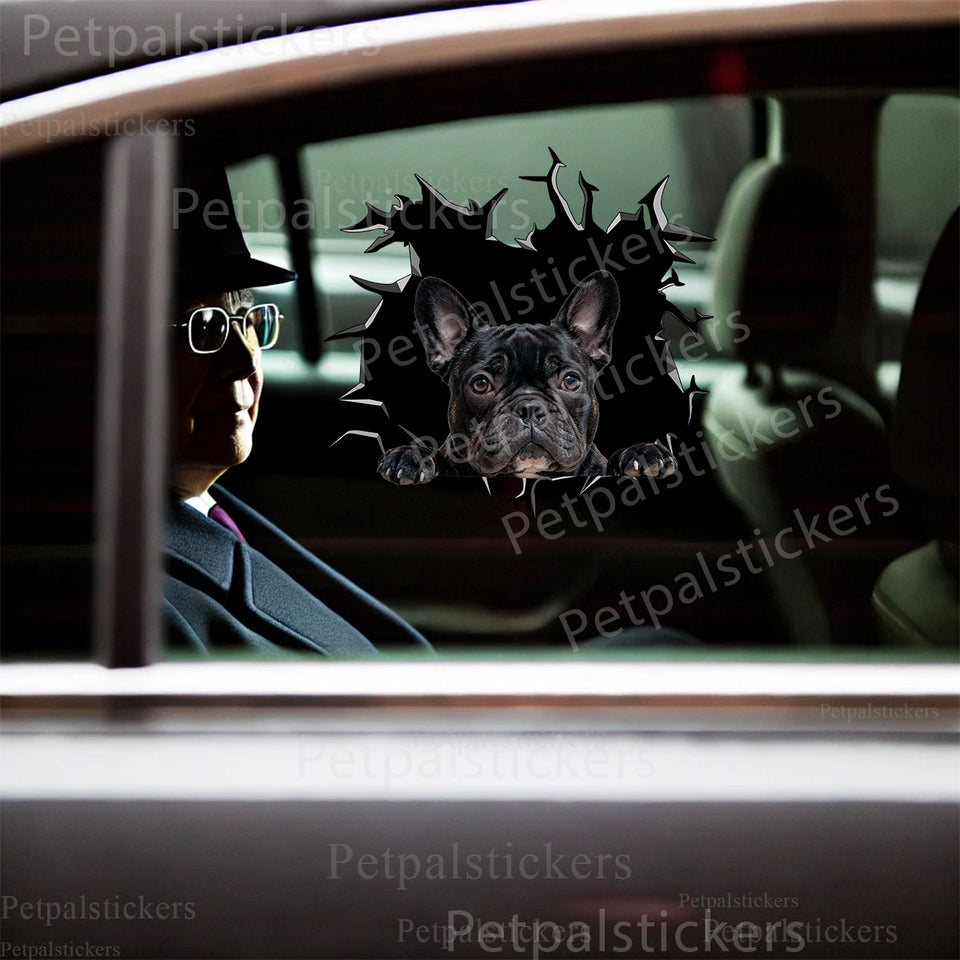 Adorable Frenchie decal styled perfectly across a smooth car door exterior.
