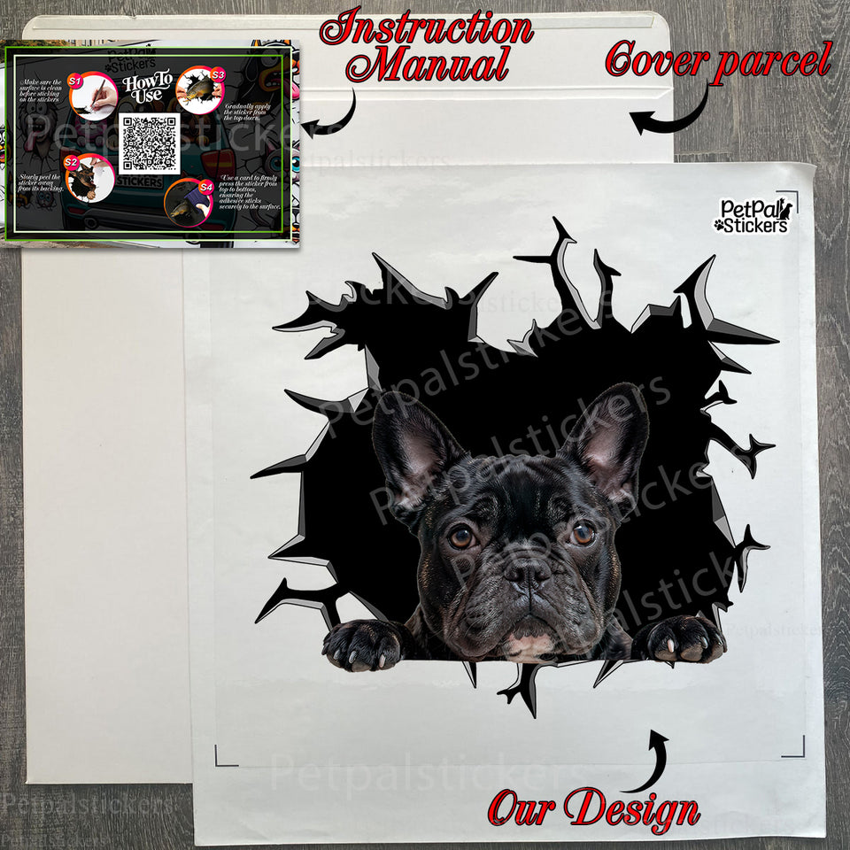 Unboxed Frenchie sticker sheet showing the secure protective shipping package.