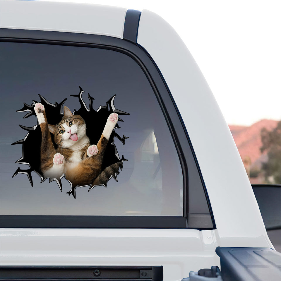 Realistic cat graphic sticker displayed on the rear window of a truck outdoors.