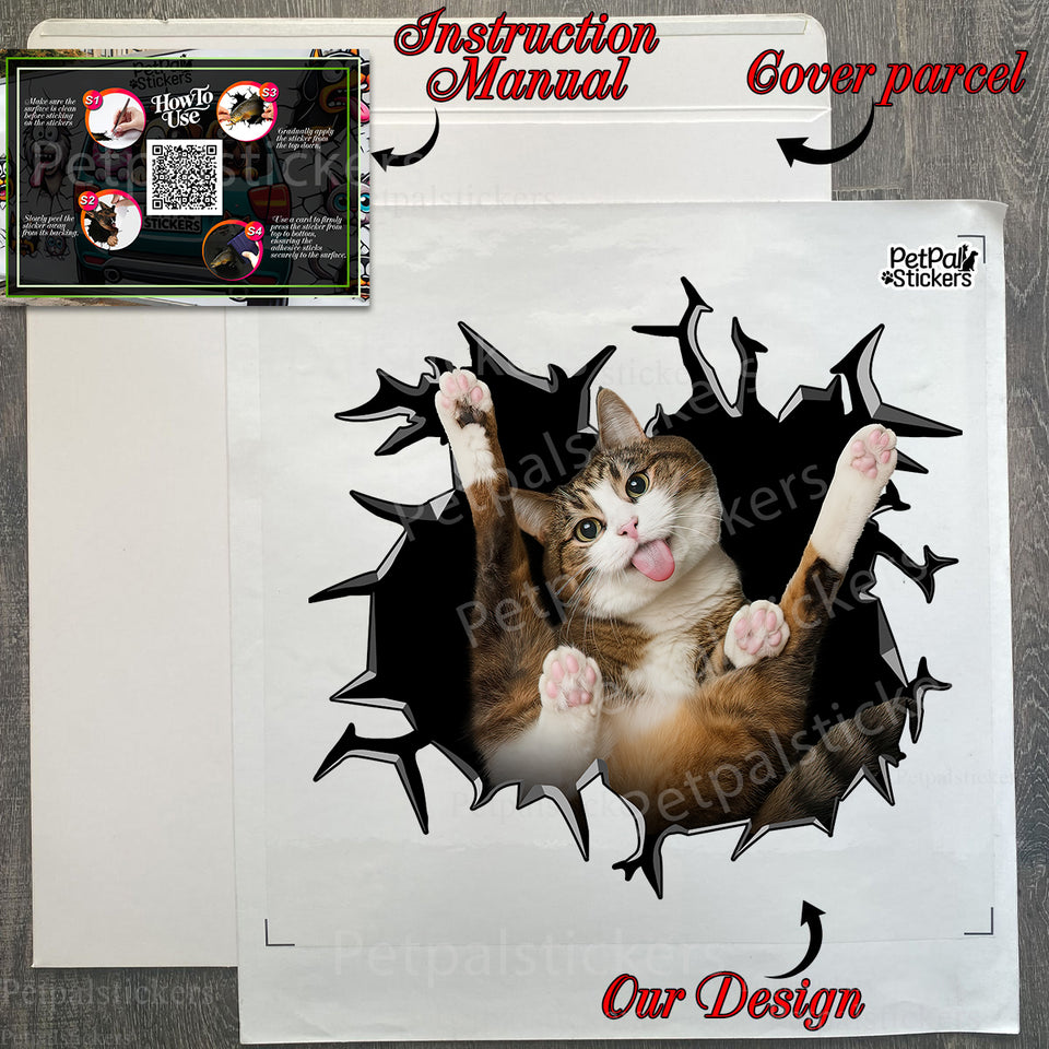 Carefully packed cat car decal inside its protective retail package with instructions.